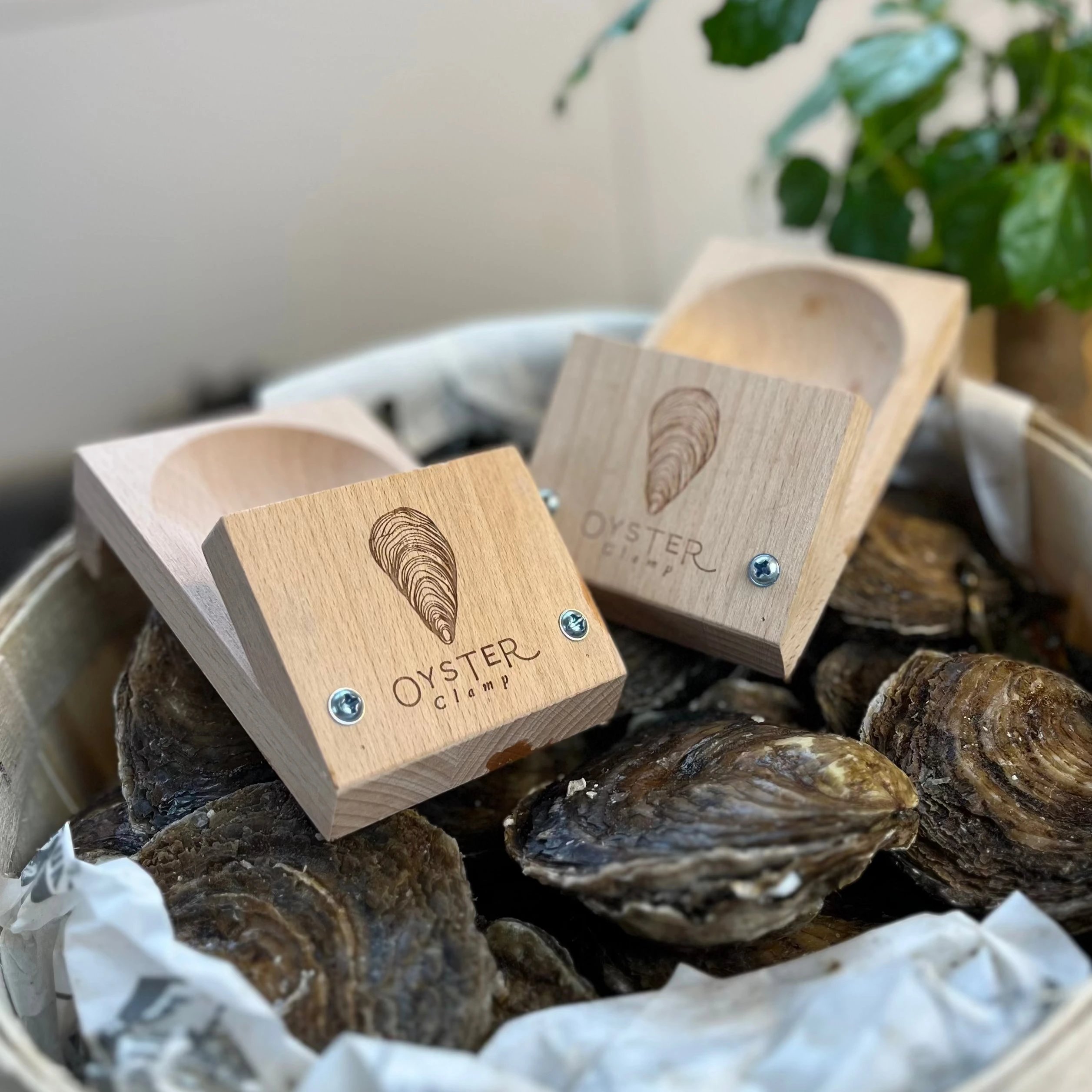 OysterClamp 2.0 oyster shucking tool